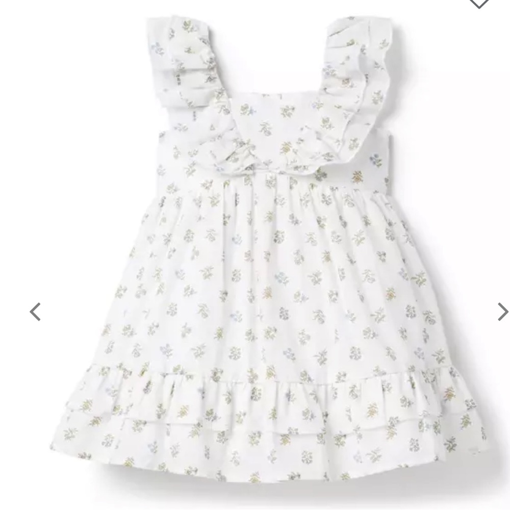 Janie Jack the spring swing dress